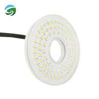 Low Power LED Lamps 12v 10w Underwater Fountain Donut Light